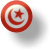 Tunisia Flag (2919 Byte)